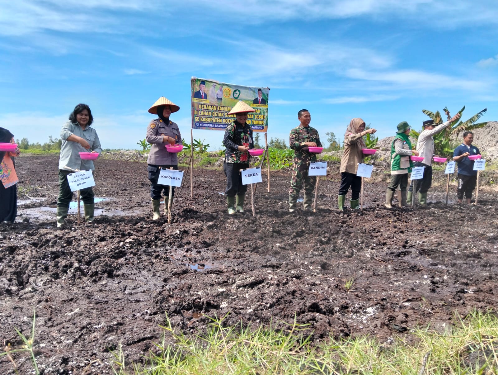 Pemkab Kotim Laksanakan Tanam Padi Serentak di Lahan Cetak Sawah Rakyat