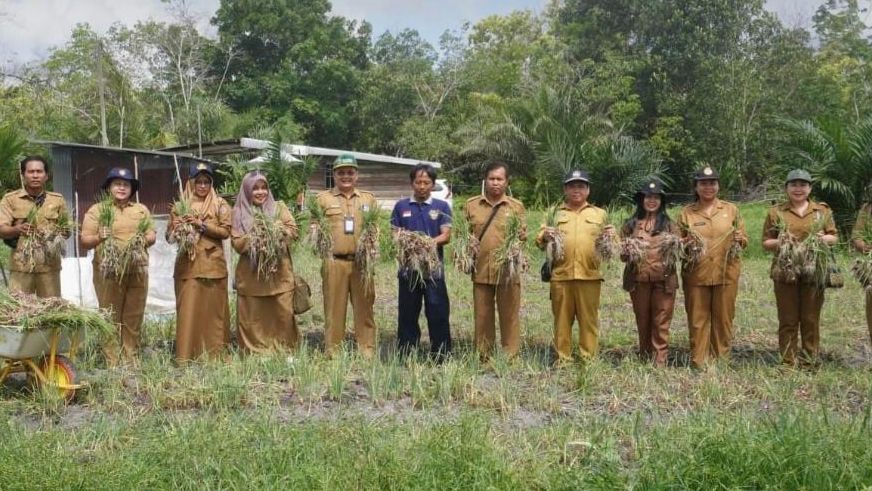 Petani Kalteng Panen 3 Ton Bawang, Rendy: Dukungan Harus Nyata