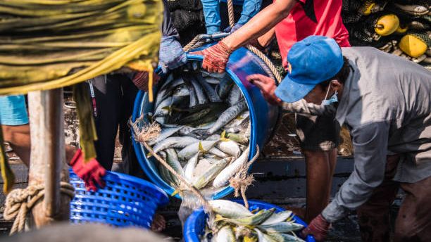 Potensi Laut Kalteng Lari ke Kalsel, Daerah Kehilangan PAD