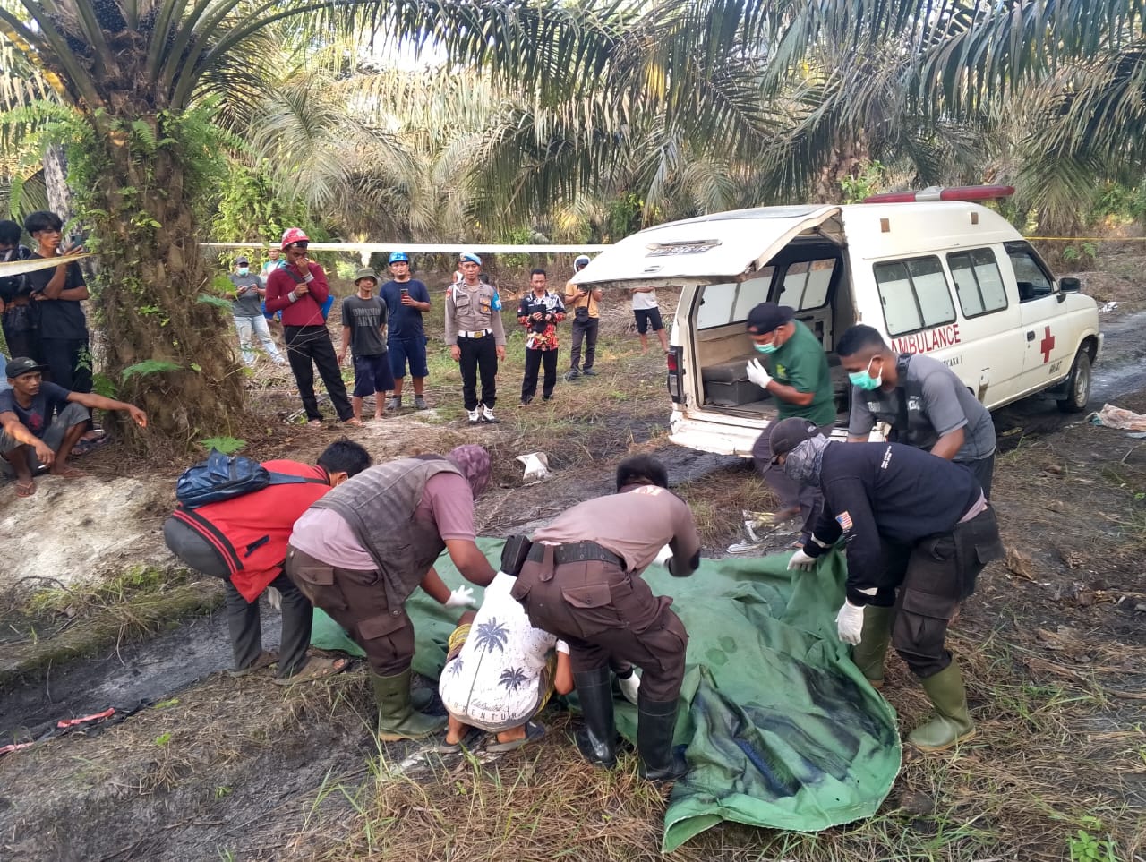 Kurang Dari 1×24 Jam, Polisi Ungkap Kasus Pembunuhan Pria Di Kebun Sawit Mentaya Hulu