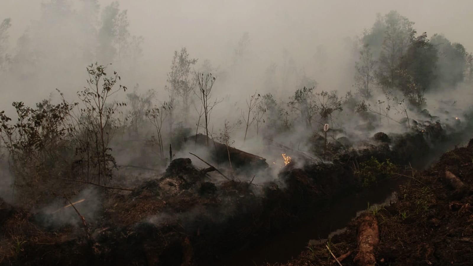 Operasi Modifikasi Cuaca Dikerahkan Tangani Karhutla Di Kalteng, Satu Pesawat Cessna Disiagakan